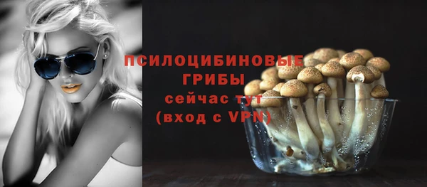 винт Покровск
