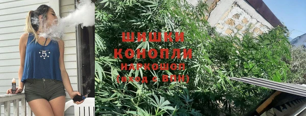 сатива Покров